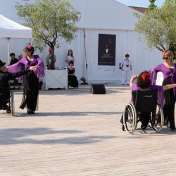 https://www.waibe.fr/sites/handtohand/medias/images/__HIDDEN__galerie_21/6749_ArteFlamenco.jpg